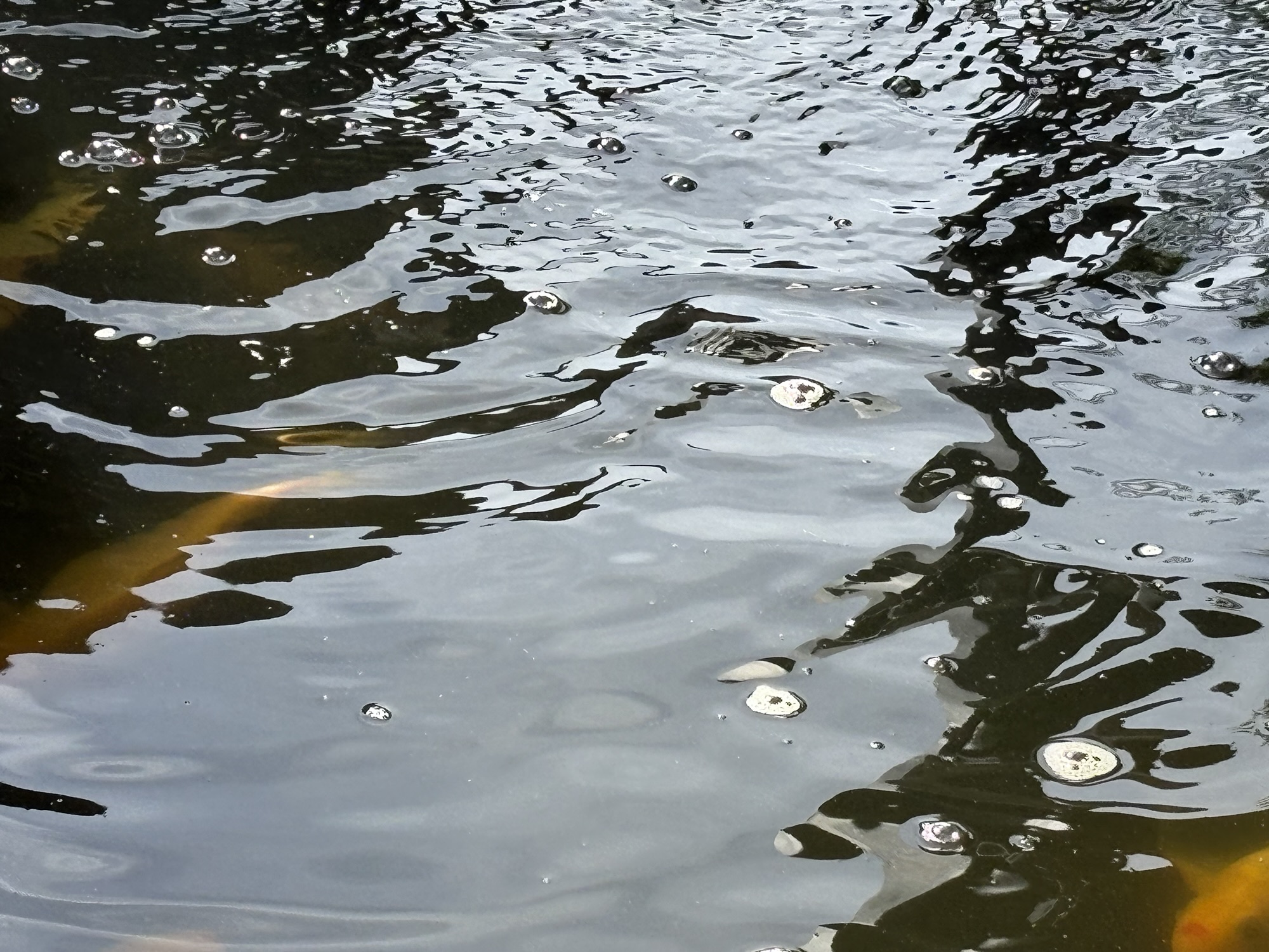 5/5/26 : Haiku – “Piston Heart”